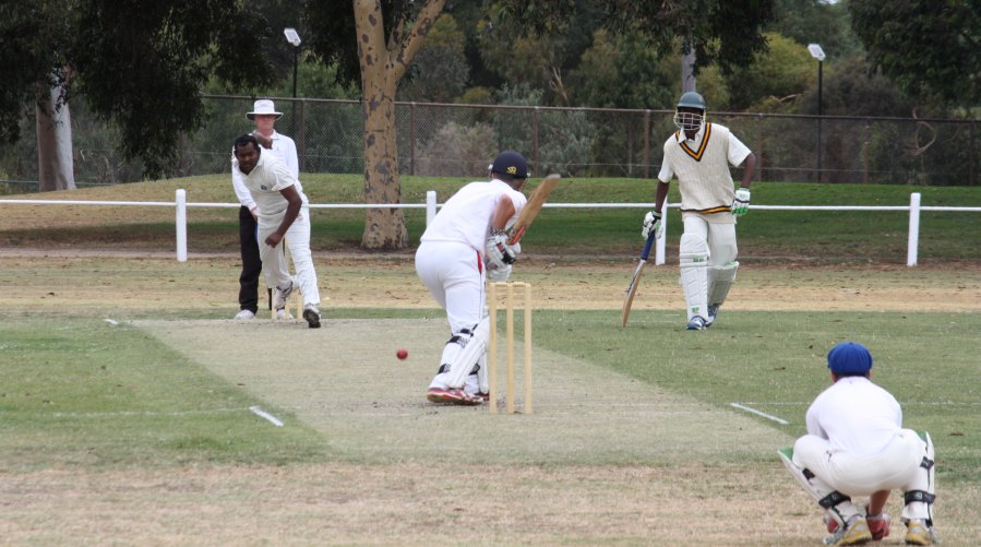 YPCC senior men playing cricket